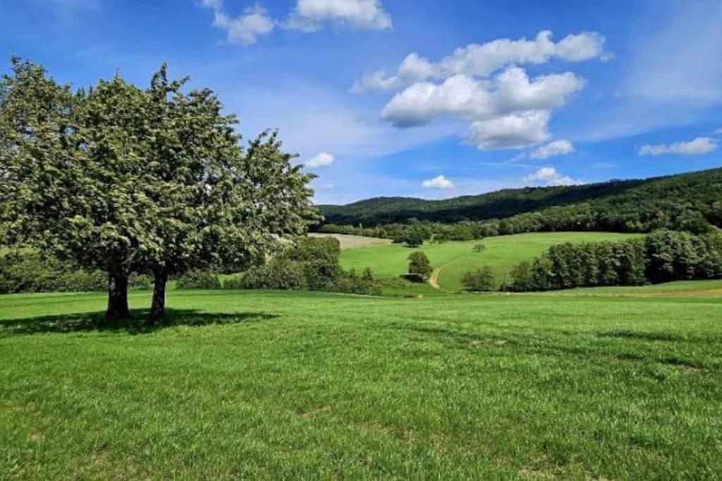 Corps De Ferme Traditionnel Lembach Luaran gambar