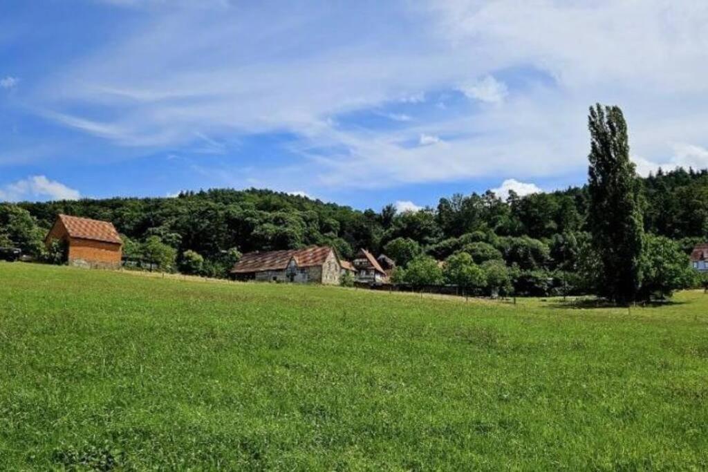 Corps De Ferme Traditionnel Lembach Luaran gambar