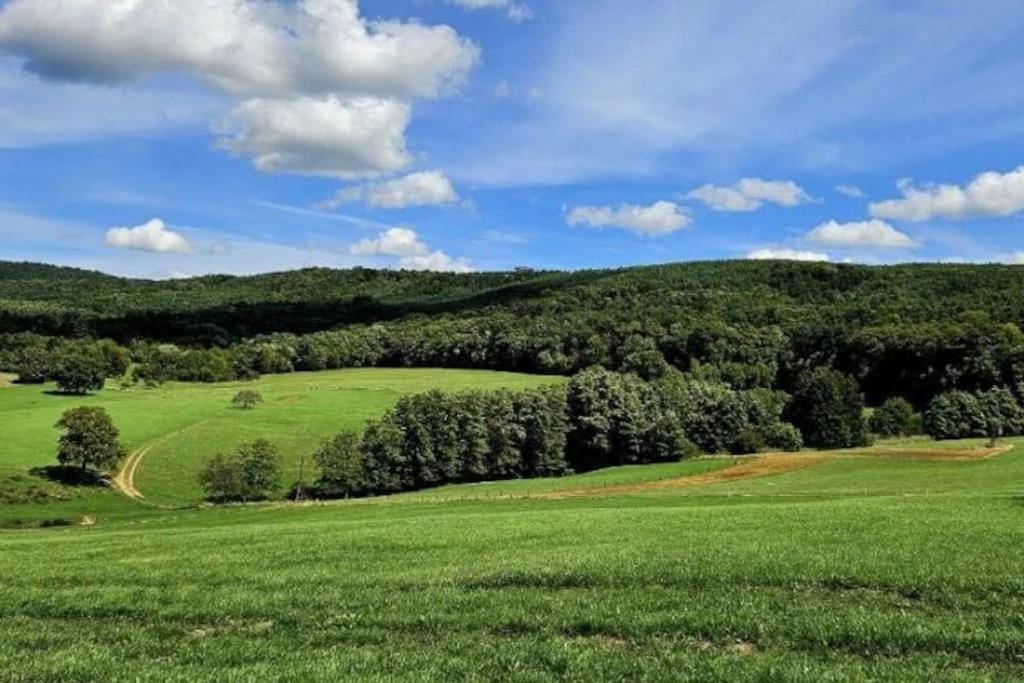 Corps De Ferme Traditionnel Lembach Luaran gambar