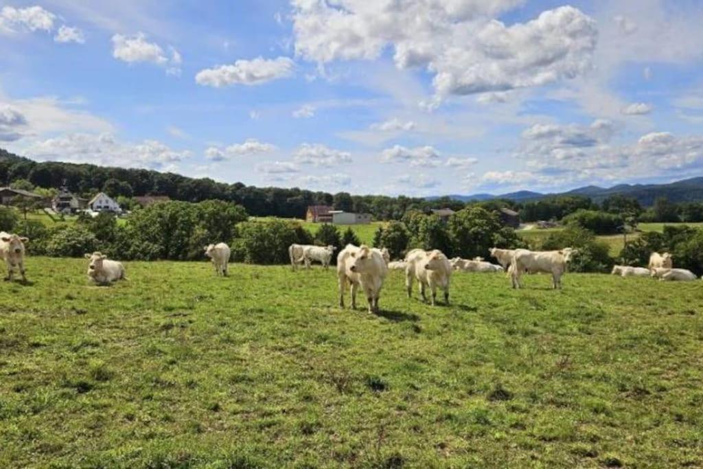 Corps De Ferme Traditionnel Lembach Luaran gambar